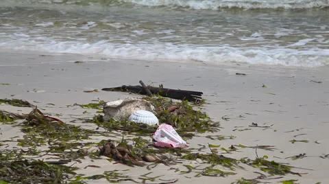 Pollution on the beach of tropical sea 스톡 동영상 59306266