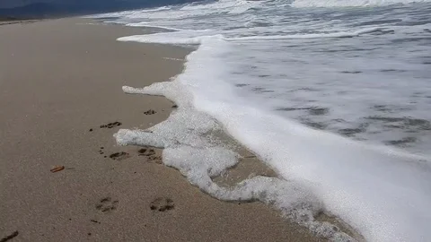 Pollution brought ashore by the waves 4735 Stock Footage 108480780