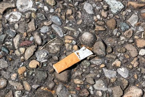 Pollution by cigarette stub thrown on the ground Stock Photos