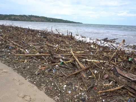Pollution concept. Beach polluted with plastic garbage and tree branches Stock Footage 85019824