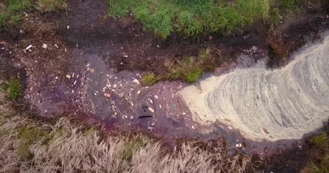 Pollution Creek Stock Footage 282774987