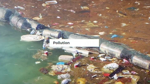 Pollution Documentary Catálogo de After Effects
