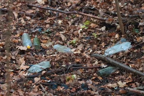 Pollution of the environment and forests. Stock-Fotos