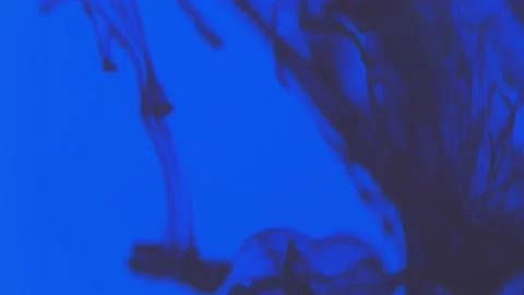 Pollution of the environment. Black ink flowing up and swirling under blue color Video stock 158857052