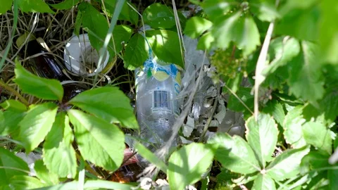 Pollution of environment. Garbage lying in grass on summer sunny day. 4K 動画素材 126163419