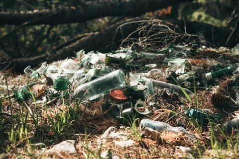 Pollution of the environment. Stock Photos