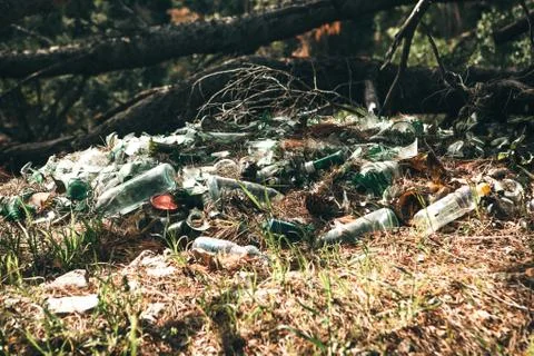 Pollution of the environment. Stock Photos