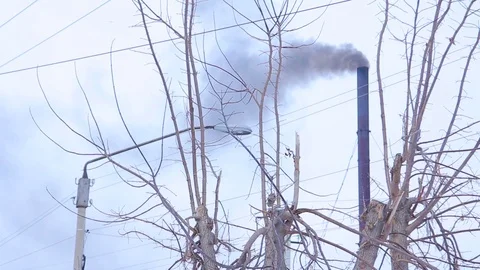 Pollution of the environment: a pipe with smoke. Grey pipe with dead tree. Stock-Footage 99675529