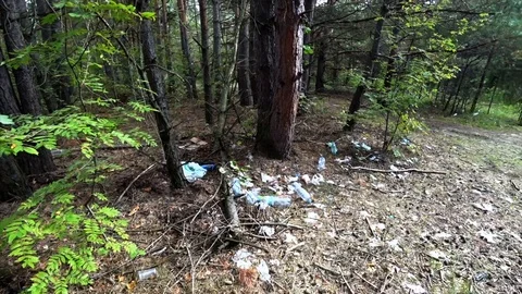 The pollution of the environment by plastic and garbage. Stock-Footage 95269014