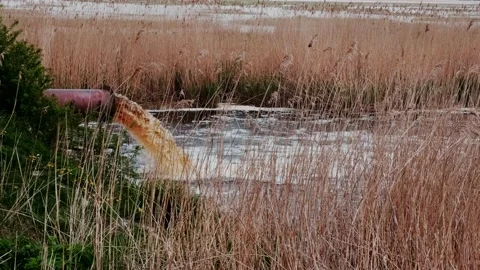 Pollution of the environment, rivers and lakes. Stock Footage 160339784