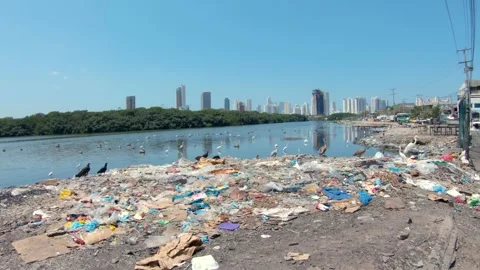 Pollution environmental disaster water River banks contamination Cartagena Stock Footage 300312756