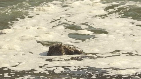 Pollution Foam on River Water Video stock 73049198