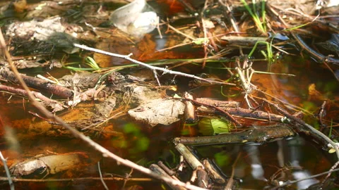 Pollution Stock Footage 234302896