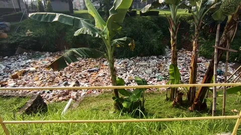 Pollution Stock Footage 309872607