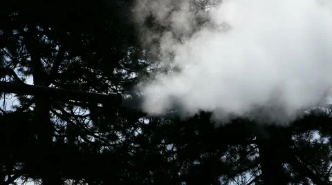 Pollution in the forest, 50 fps Stock Footage 52445916