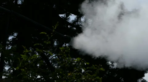 Pollution in the forest 50 fps Stock-Footage 52526881