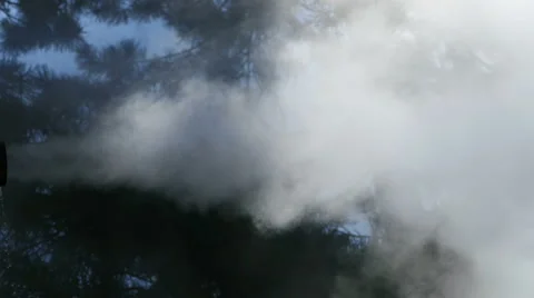 Pollution in the forest Video stock 52444367