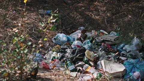 Pollution in Forest, Garbage Dump Site Stock Footage 303705768