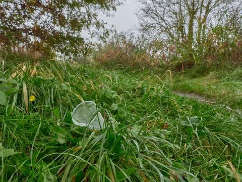 Pollution in the forest 스톡 사진