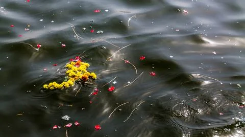 Pollution of the Ganges in Varanasi, the largest river in India Stock Photos