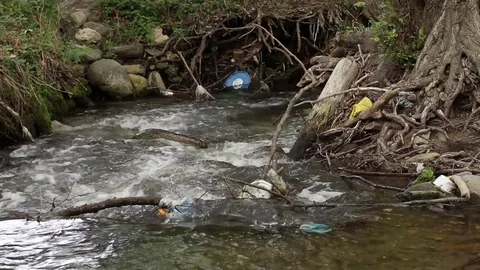Pollution Garbage Plastic Dirty River Nature Roots Trees Water Stock-Footage 75810763