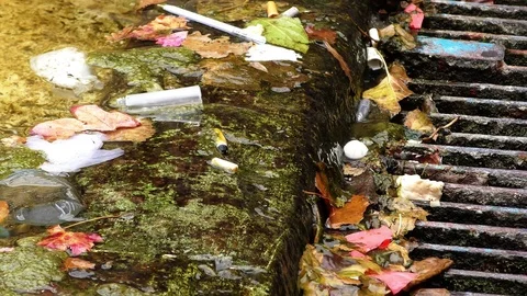 Pollution goes to the municipal sewerage system in the street Видео 83670153