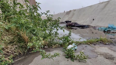 Pollution Grunge Trash Waste Garbage in Ditch Wash Environment California USA Video stock 155204767