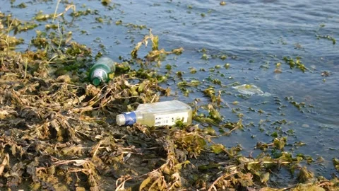 Pollution by lake Stock Footage 208176483