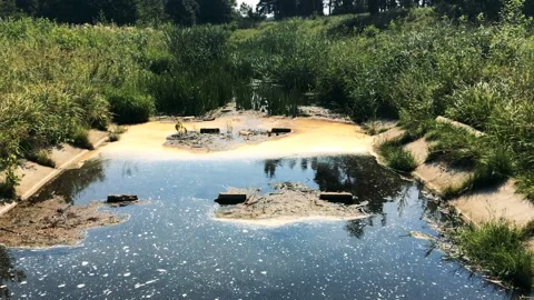 Pollution - littered pond Stock Footage 93781360