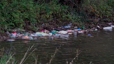 Pollution on the mountain river Stock Footage 220737106