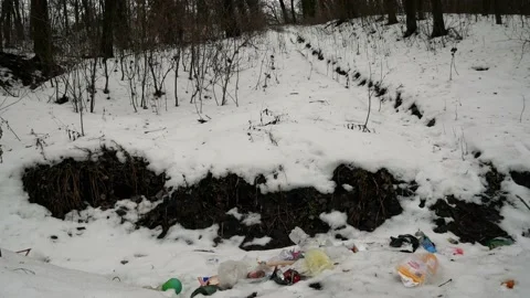 Pollution of nature and environment. Garbage dump waste in the forest Stock Footage 236692347