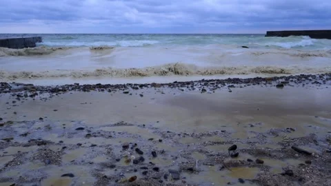 Pollution of nature and sand with vegetable oil on the beaches of Odessa Stock Footage 327791886