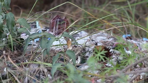 Pollution of Nature Stock Footage 71270774