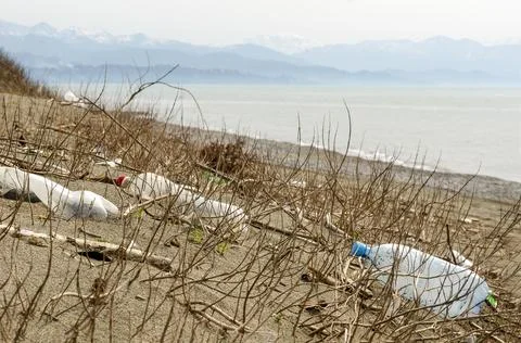 Pollution of nature: various garbage on the sandy beach Fotos de archivo