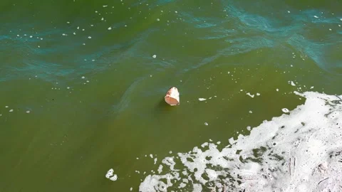 Pollution In The Ocean Stock Footage 305929428
