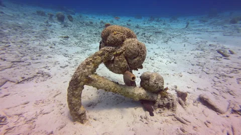 Pollution in ocean global warming Stock Footage 317190385