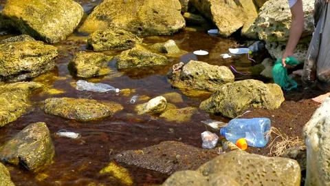 Pollution of the Oceans, a Man Catches Garbage From the Water Stock Footage 141563044
