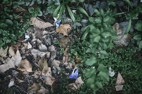 Pollution in the park Foto stock