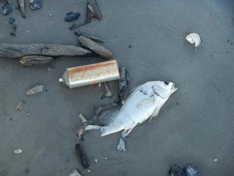 Pollution Stock Photos