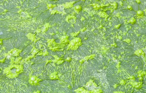 Pollution Stock Photos