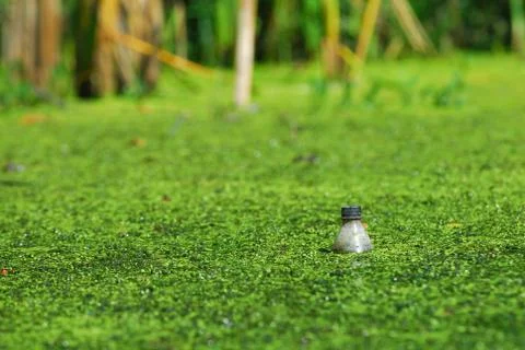 Pollution Stock Photos