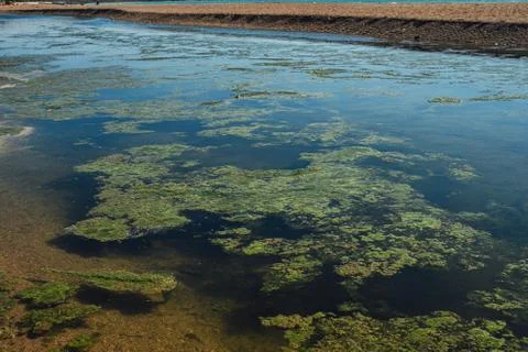 Pollution Stock Photos