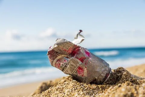 Pollution of the planet with human waste. An empty tin can thrown away by the Stock Photos