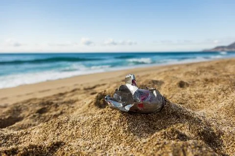 Pollution of the planet with human waste. An empty tin can thrown away by the Stock Photos