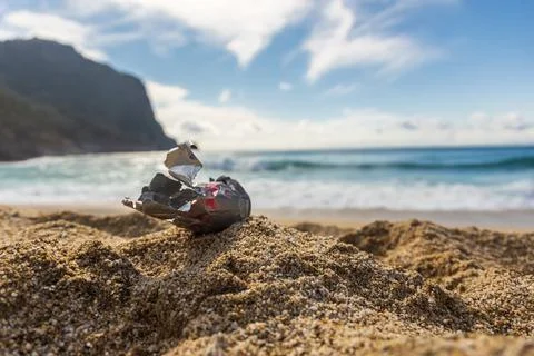 Pollution of the planet with human waste. An empty tin can thrown away by the Stock Photos