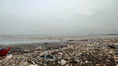 Pollution of Plastic Waste on the Beach Stock Footage 230700895