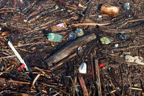Pollution Problem - Plastic, Containers And Other Beaches