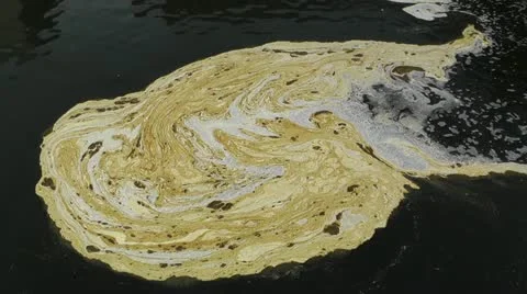 Pollution in River 01 Stock Footage 11481263