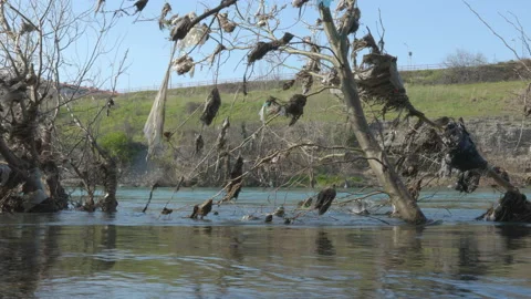 Pollution on river bank 動画素材 236843119