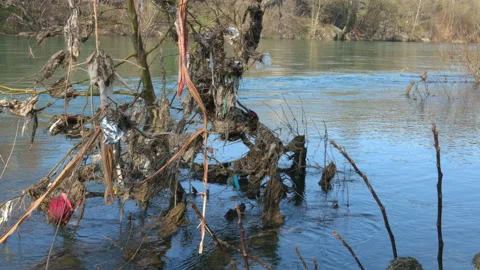 Pollution on river bank 動画素材 236862905